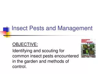 Insect Pests and Management