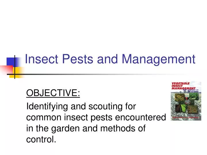 insect pests and management