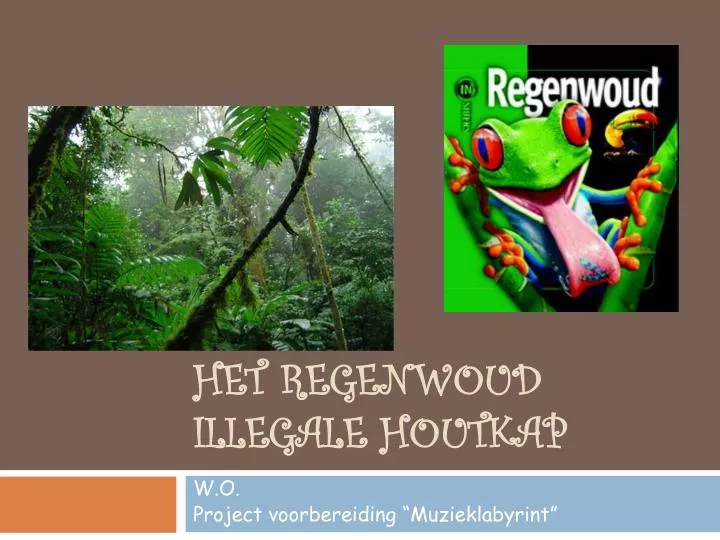 het regenwoud illegale houtkap