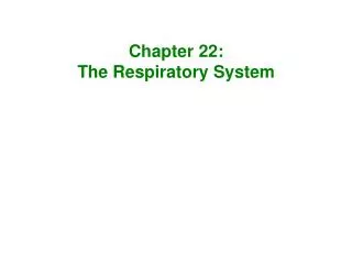 Chapter 22: The Respiratory System