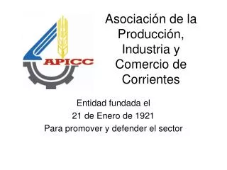 Asociación de la Producción, Industria y Comercio de Corrientes