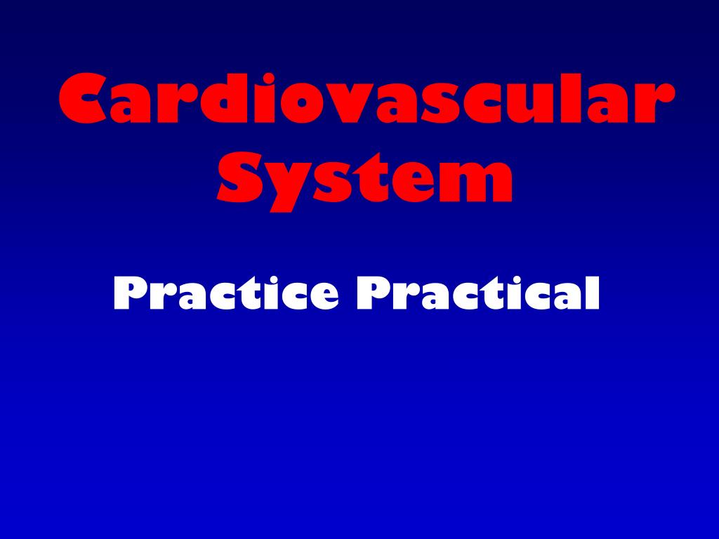 PPT - Cardiovascular System PowerPoint Presentation, free download - ID ...