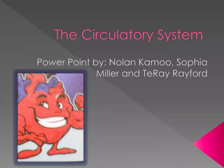 the circulatory system