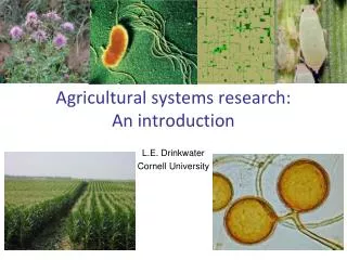 Agricultural systems research: An introduction