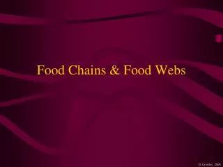 Food Chains &amp; Food Webs