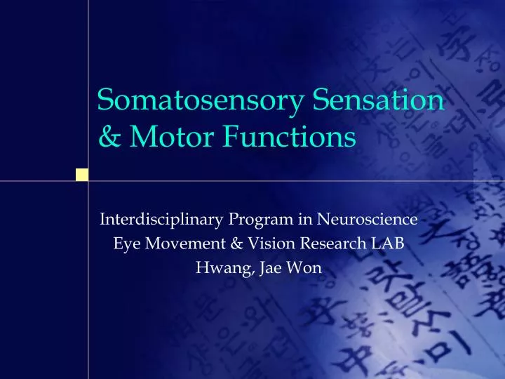 somatosensory sensation motor functions