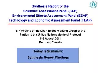 Synthesis Report of the Scientific Assessment Panel (SAP)