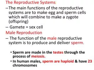 The Reproductive Systems :