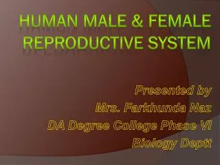 Human Male &amp; Female Reproductive System