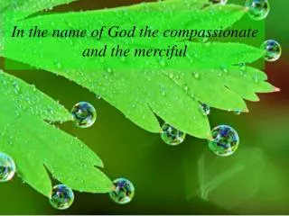 In the name of God the compassionate and the merciful