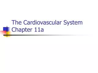 The Cardiovascular System Chapter 11a