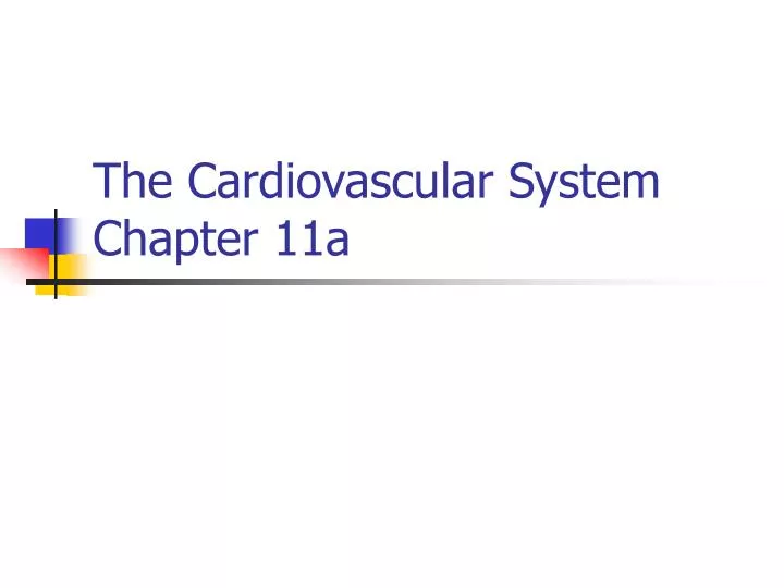 the cardiovascular system chapter 11a