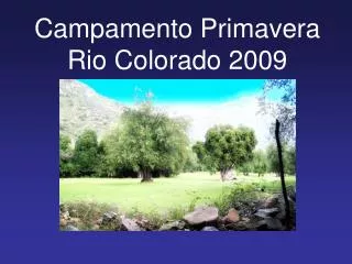 Campamento Primavera Rio Colorado 2009