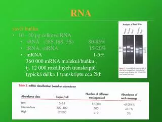 RNA