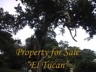Property for Sale “El Tucan”