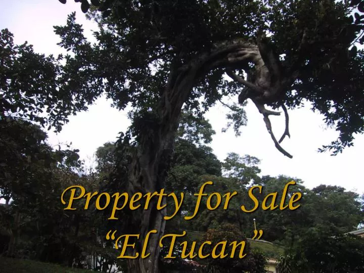 property for sale el tucan