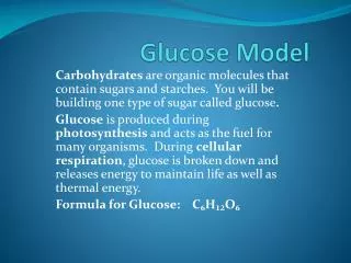 Glucose Model