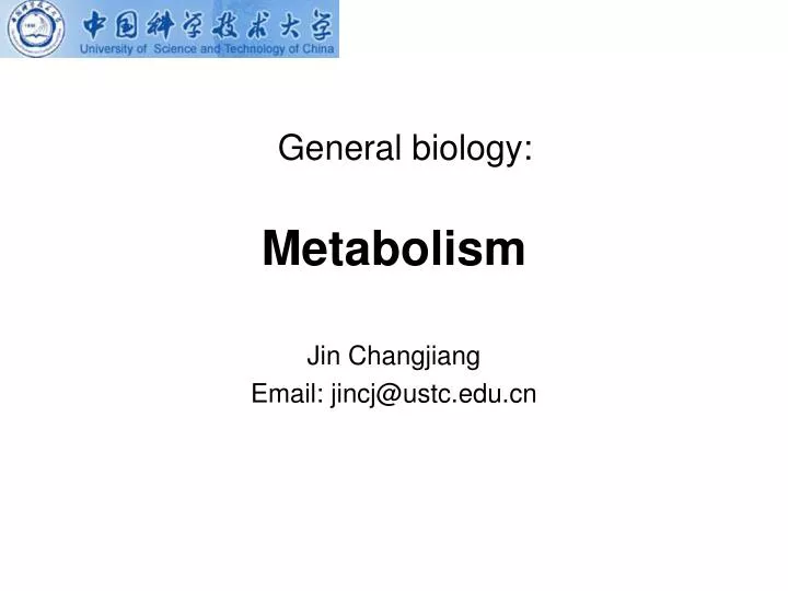 metabolism