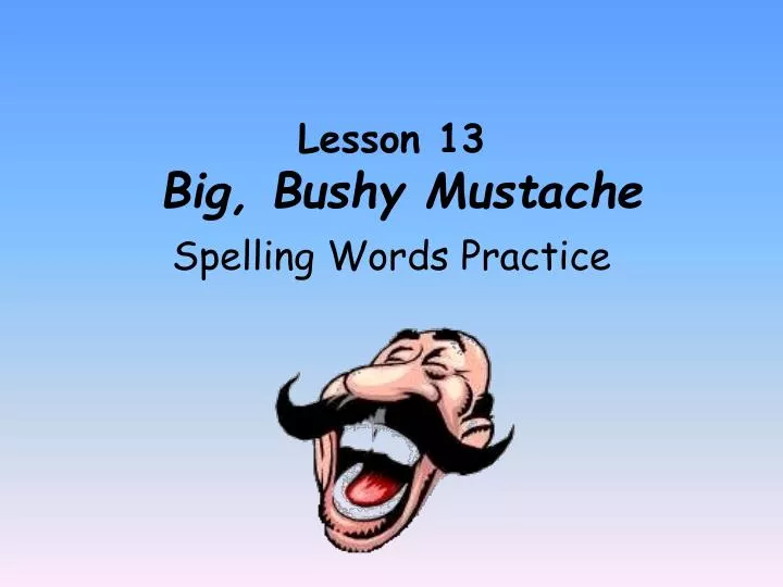 lesson 13 big bushy mustache