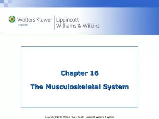 Chapter 16 The Musculoskeletal System