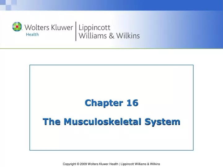 chapter 16 the musculoskeletal system