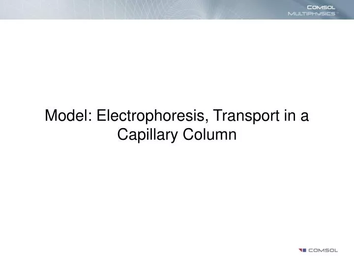 model electrophoresis transport in a capillary column