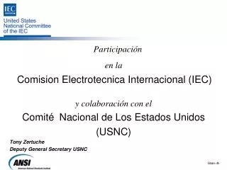 Participación en la Comision Electrotecnica Internacional (IEC) y colaboración con el