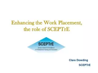 Enhancing the Work Placement, the role of SCEPTrE