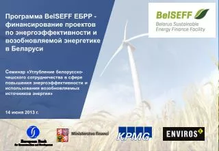Общая информация о Программе BelSEFF