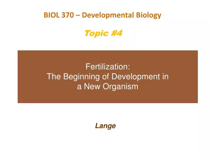 fertilization the beginning of development in a new organism