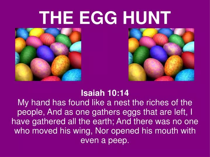 the egg hunt