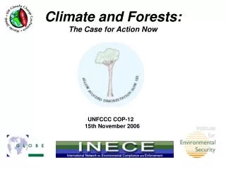 Climate and Forests: The Case for Action Now