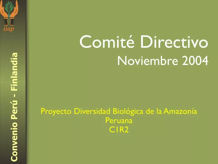 comit directivo noviembre 2004