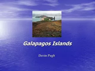 Galapagos Islands Devin Pugh