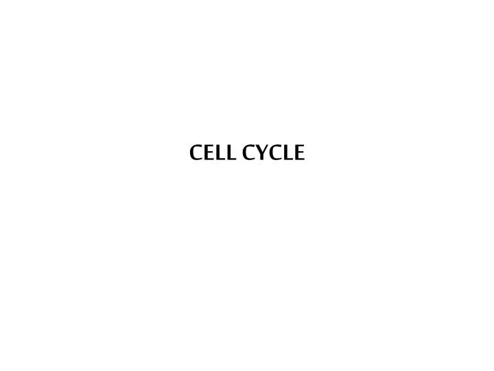 cell cycle