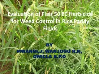 Evaluation of Flair 50 EC Herbicide for Weed Control in Rice Paddy Fields