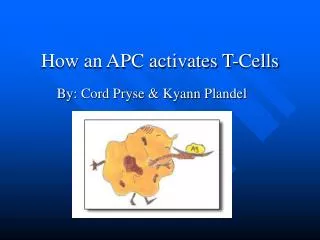 How an APC activates T-Cells