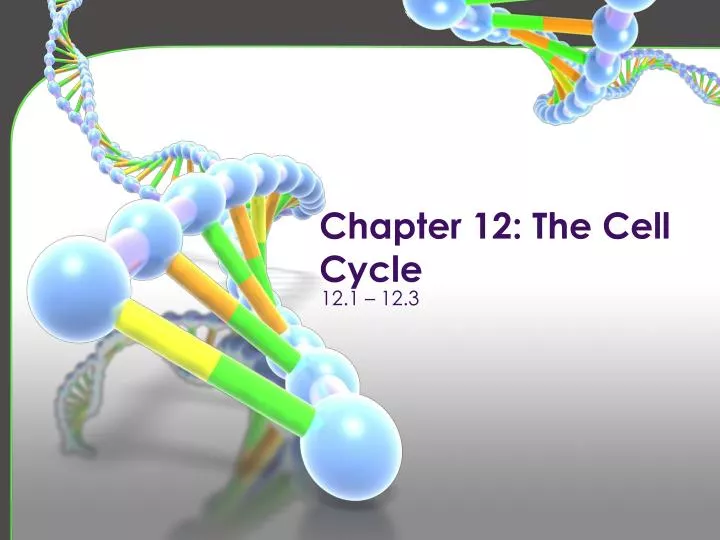 chapter 12 the cell cycle