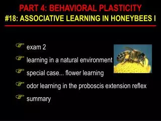 exam 2 learning in a natural environment special case... flower learning