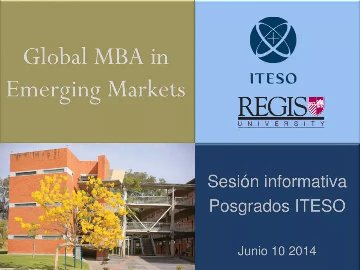 global mba in emerging markets