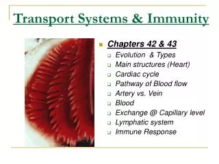 Transport Systems &amp; Immunity