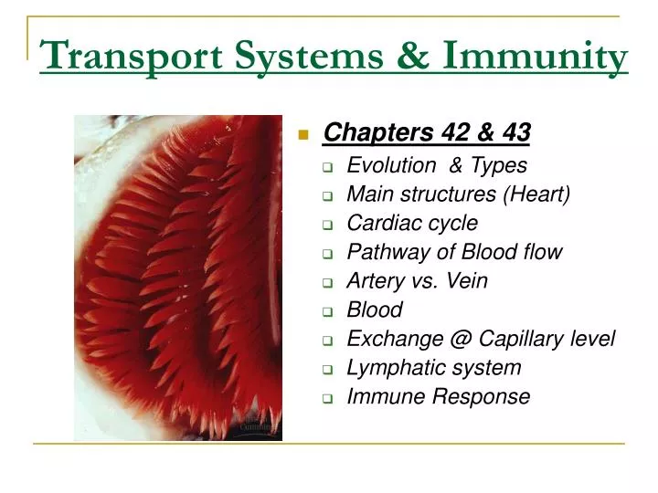 transport systems immunity