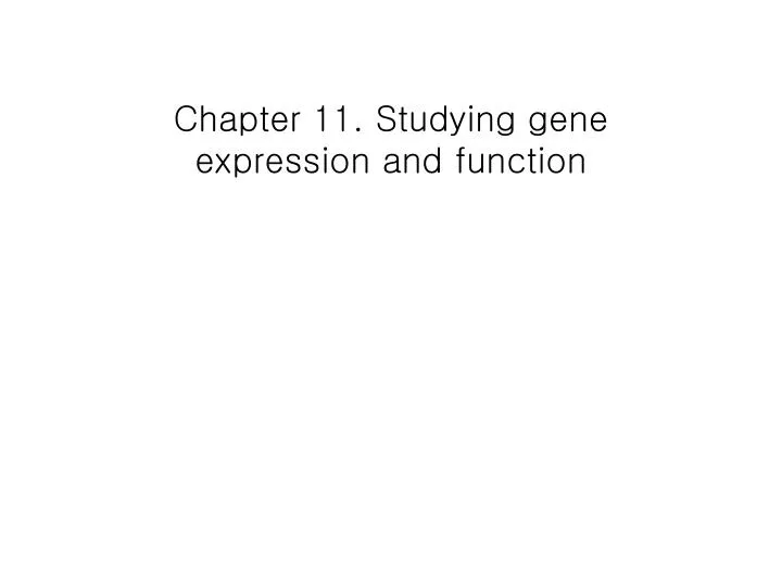 chapter 11 studying gene expression and function