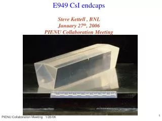 E949 CsI endcaps Steve Kettell , BNL January 27 th , 2006 PIENU Collaboration Meeting
