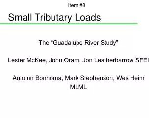 Small Tributary Loads