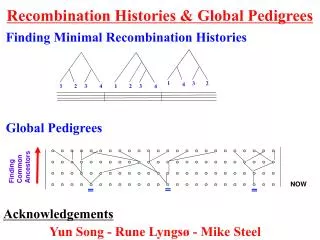 Recombination Histories &amp; Global Pedigrees