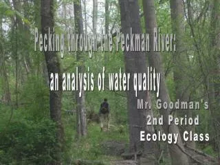 Pecking through the Peckman River: an analysis of water quality