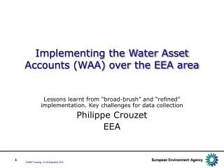 Implementing the Water Asset Accounts (WAA) over the EEA area