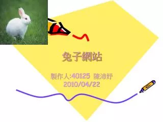 兔子網站