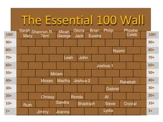 The Essential 100 Wall